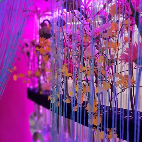 Florale Gestaltung Anja Ersing